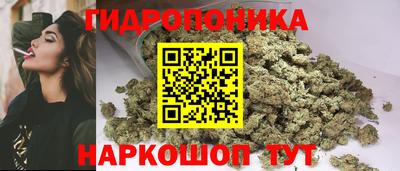 трава Бердск