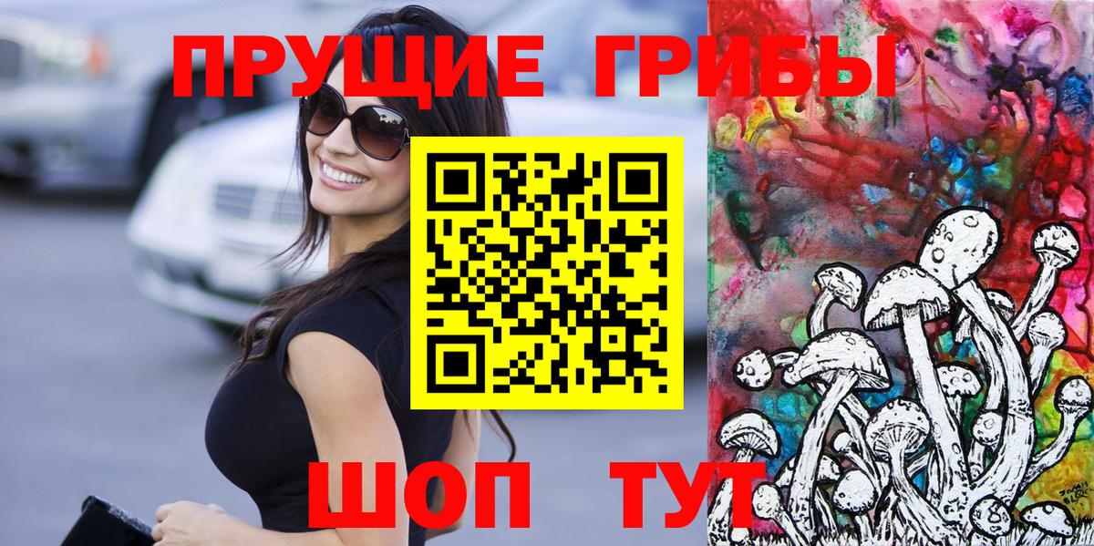 Псилоцибиновые грибы MAGIC MUSHROOMS Александров