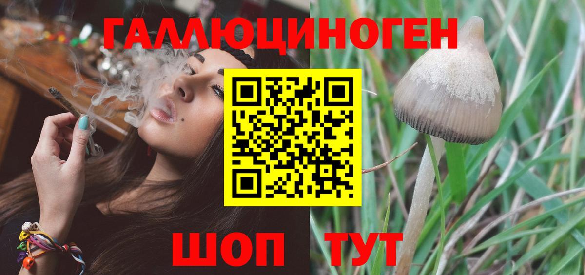 Псилоцибиновые грибы MAGIC MUSHROOMS  Галлюциногенные грибы мухоморы  Александров  Вход с VPN 